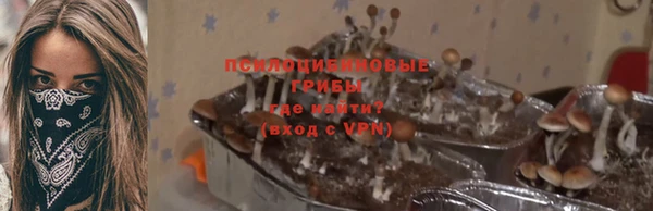 ГАЛЛЮЦИНОГЕННЫЕ ГРИБЫ Волоколамск
