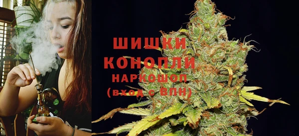 твердый Вяземский