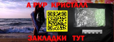 индика Пугачёв