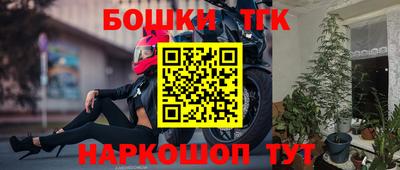 индика Пугачёв
