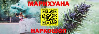 индика Пугачёв