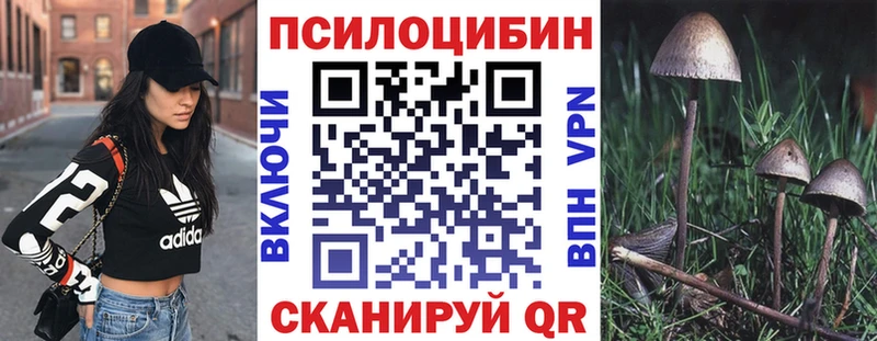 Галлюциногенные грибы GOLDEN TEACHER  Фролово 