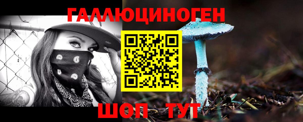 Галлюциногенные грибы прущие грибы Фролово