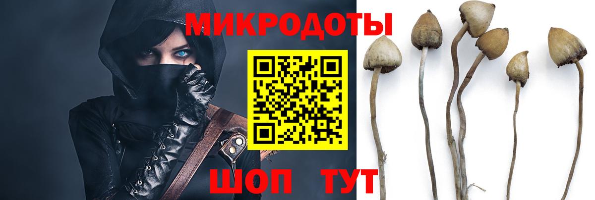 Фролово  Псилоцибиновые грибы мицелий  Псилоцибиновые грибы мицелий  Вход с VPN 